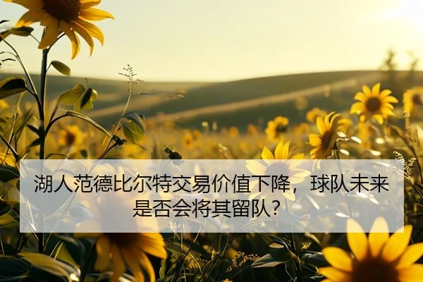湖人范德比尔特交易价值下降，球队未来是否会将其留队？